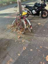 Bild zu gemeldetem Anliegen vom *2024-08-24 08:35:33