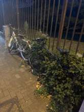 Bild zu gemeldetem Anliegen vom *2024-08-30 18:23:23