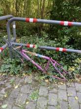 Bild zu gemeldetem Anliegen vom *2024-08-24 12:28:22