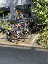 Bild zu gemeldetem Anliegen vom *2024-08-24 14:58:23