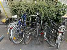 Bild zu gemeldetem Anliegen vom *2024-08-27 09:36:09
