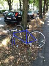 Bild zu gemeldetem Anliegen vom *2024-08-27 09:36:09