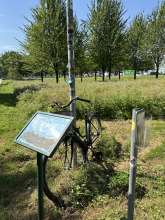 Bild zu gemeldetem Anliegen vom *2024-08-06 11:43:15
