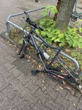 Bild zu gemeldetem Anliegen vom *2024-08-07 13:06:14