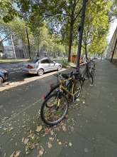 Bild zu gemeldetem Anliegen vom *2024-08-12 14:55:21