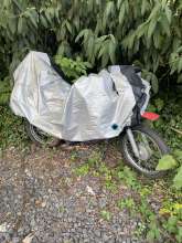 Bild zu gemeldetem Anliegen vom *2024-08-12 18:31:26