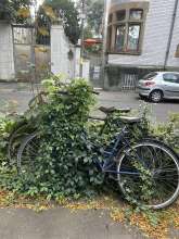Bild zu gemeldetem Anliegen vom *2024-08-16 18:05:18