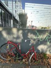 Bild zu gemeldetem Anliegen vom *2024-08-19 09:01:11