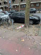 Bild zu gemeldetem Anliegen vom *2024-08-23 15:53:44
