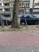 Bild zu gemeldetem Anliegen vom *2024-08-23 15:57:00