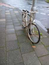 Bild zu gemeldetem Anliegen vom *2024-09-09 12:32:24