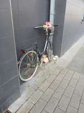 Bild zu gemeldetem Anliegen vom *2024-09-03 09:05:57
