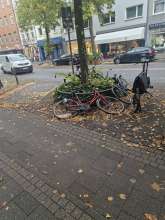 Bild zu gemeldetem Anliegen vom *2024-09-25 09:29:07