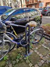 Bild zu gemeldetem Anliegen vom *2024-09-08 15:52:14