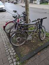 Bild zu gemeldetem Anliegen vom *2024-09-26 11:09:53
