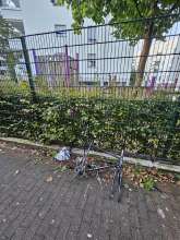 Bild zu gemeldetem Anliegen vom *2024-09-03 21:28:05
