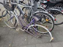 Bild zu gemeldetem Anliegen vom *2024-09-23 15:34:50