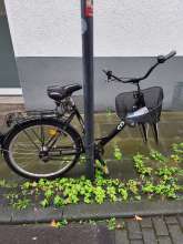 Bild zu gemeldetem Anliegen vom *2024-09-04 12:30:04