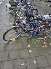 Bild zu gemeldetem Anliegen vom *2024-09-04 13:11:31