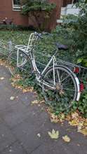Bild zu gemeldetem Anliegen vom *2024-09-19 06:33:39