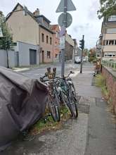 Bild zu gemeldetem Anliegen vom *2024-09-26 12:33:40
