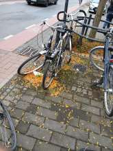 Bild zu gemeldetem Anliegen vom *2024-09-09 10:21:52