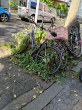 Bild zu gemeldetem Anliegen vom *2024-09-21 12:21:43