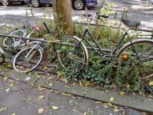 Bild zu gemeldetem Anliegen vom *2024-09-21 12:23:00