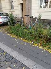 Bild zu gemeldetem Anliegen vom *2024-09-21 12:24:07