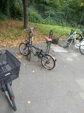 Bild zu gemeldetem Anliegen vom *2024-09-24 08:04:51