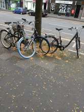 Bild zu gemeldetem Anliegen vom *2024-09-24 08:10:10