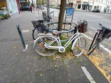 Bild zu gemeldetem Anliegen vom *2024-09-24 08:12:11