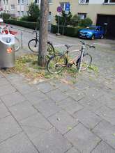 Bild zu gemeldetem Anliegen vom *2024-09-27 15:50:35