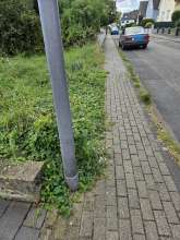 Bild zu gemeldetem Anliegen vom *2024-09-01 15:27:46