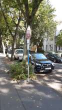 Bild zu gemeldetem Anliegen vom *2024-09-22 12:27:53