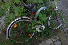 Bild zu gemeldetem Anliegen vom *2024-09-05 18:29:06