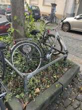 Bild zu gemeldetem Anliegen vom *2024-09-01 08:11:38