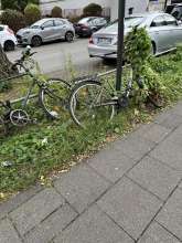 Bild zu gemeldetem Anliegen vom *2024-09-26 15:27:51