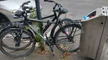 Bild zu gemeldetem Anliegen vom *2024-09-30 12:31:59
