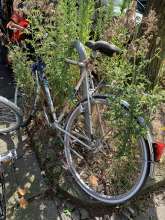 Bild zu gemeldetem Anliegen vom *2024-09-05 12:53:52