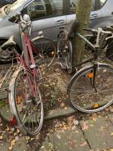 Bild zu gemeldetem Anliegen vom *2024-09-30 09:32:55