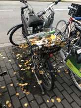 Bild zu gemeldetem Anliegen vom *2024-09-28 06:36:56