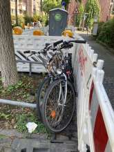 Bild zu gemeldetem Anliegen vom *2024-09-25 13:29:41