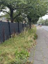 Bild zu gemeldetem Anliegen vom *2024-09-06 06:30:49