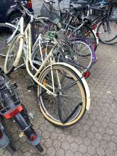 Bild zu gemeldetem Anliegen vom *2024-09-23 09:27:20
