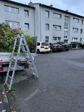 Bild zu gemeldetem Anliegen vom *2024-09-25 12:56:38