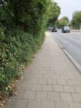 Bild zu gemeldetem Anliegen vom *2024-09-08 18:31:41