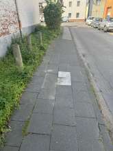 Bild zu gemeldetem Anliegen vom *2024-09-27 14:44:45