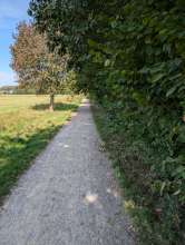 Bild zu gemeldetem Anliegen vom *2024-09-22 12:27:53