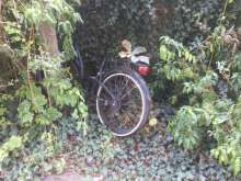 Bild zu gemeldetem Anliegen vom *2024-09-02 09:28:26